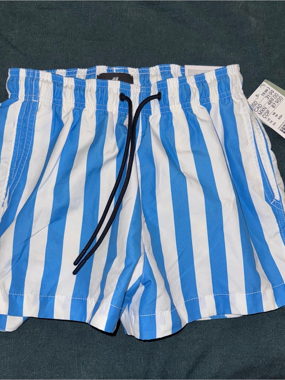 H&M Blue and White Striped Swim Trunks